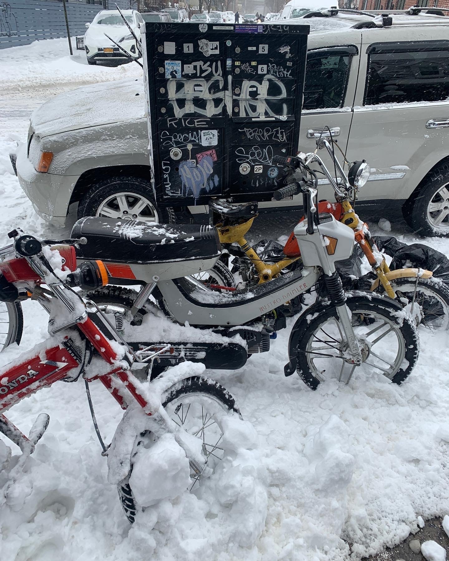 Winter Moped Storage - 2025