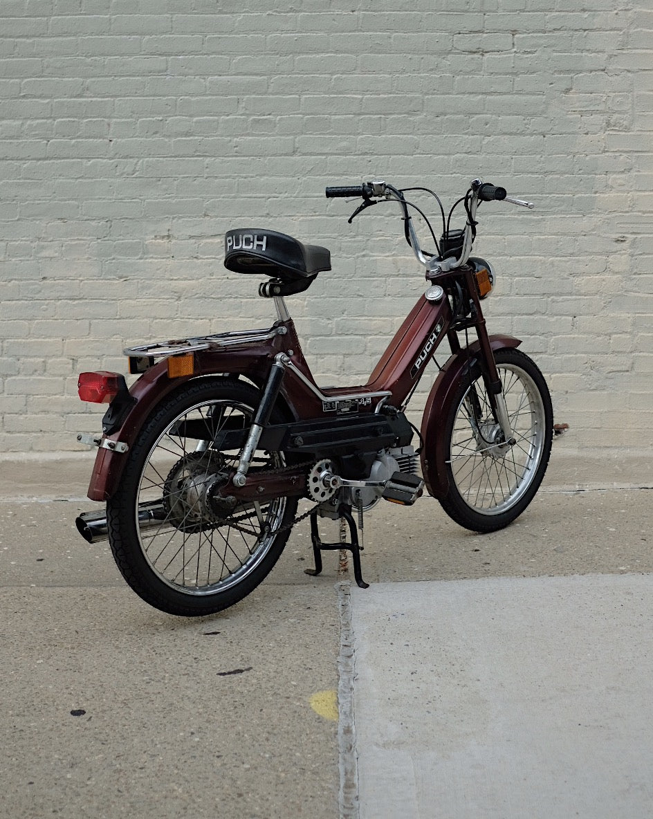 モカポトスページ Happy Trailing things Thursday🌿 Pothos N'joy🌿🌿 ポトスは